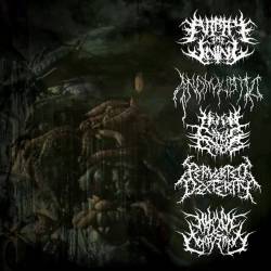 Human Decomposition : Human Bowels